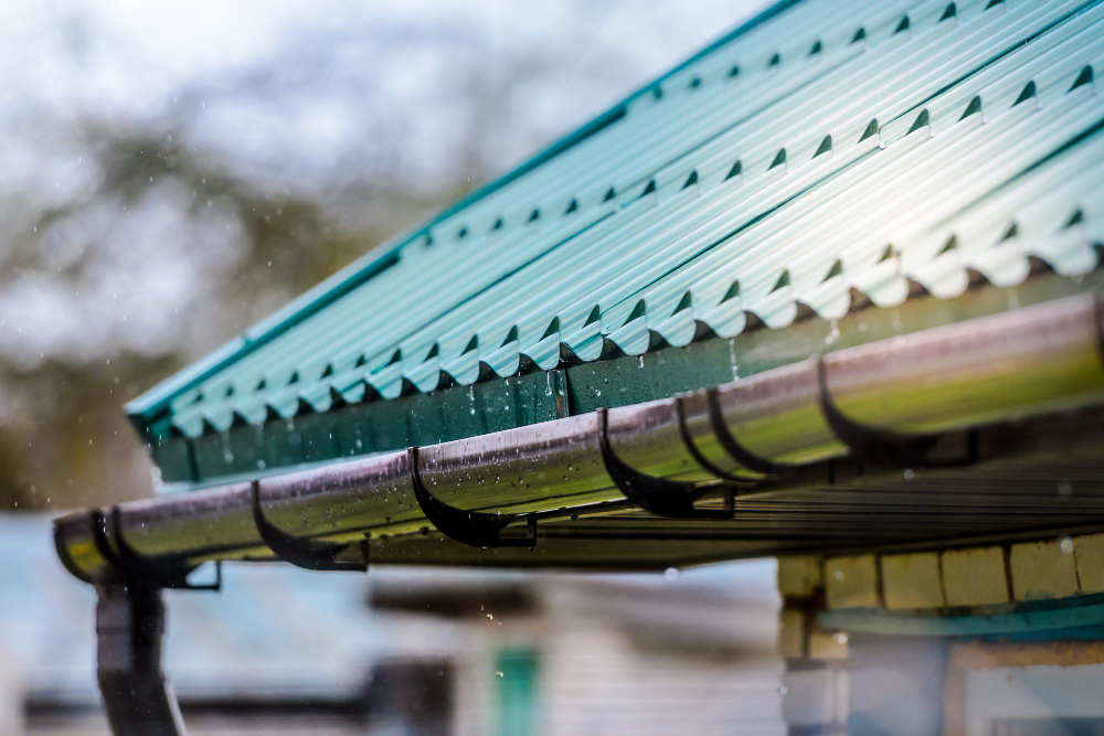 gutters need cleaning