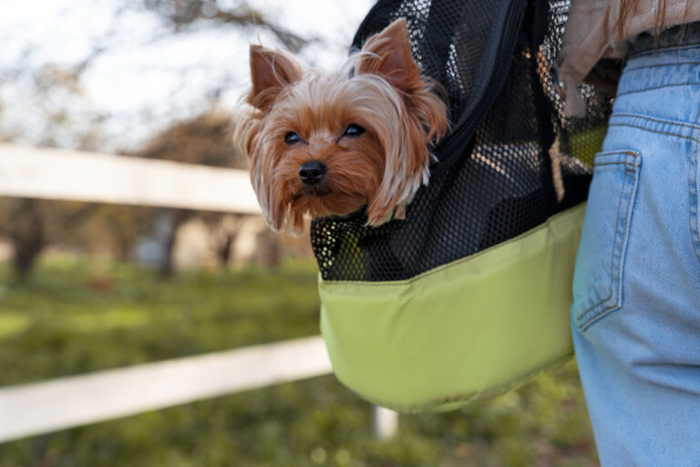 Innovations in Dog Poo Bag Technology: What's New on the Market