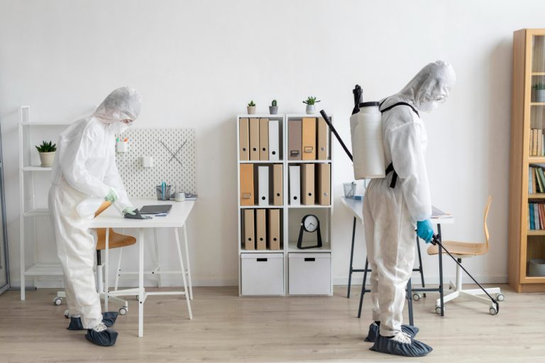 Pest Control Solutions That Really Work