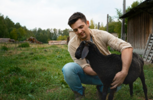 Understanding the Cost of Owning a German Shepherd: Factors to Consider